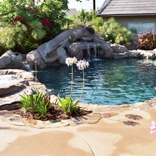 Pool Decor