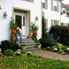 Landscape Ideas