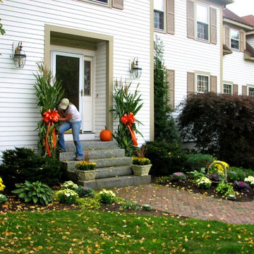 Fall Color