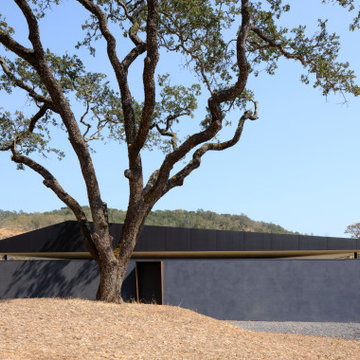 Sonoma County Leit House