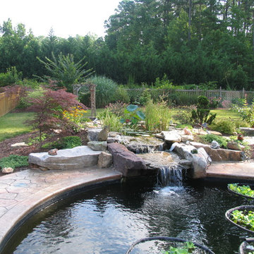 Wake Forest, NC koi pond and landscape rennovation