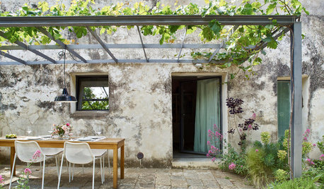 18 idées pour concevoir une pergola de rêve