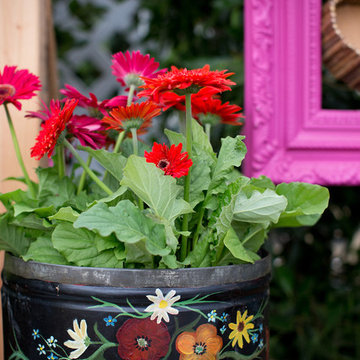 Plants