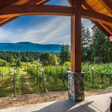 vinyard