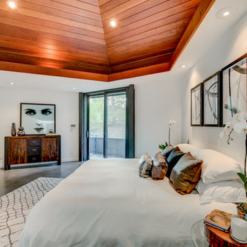 Modern Organic in Buckhead, Georiga