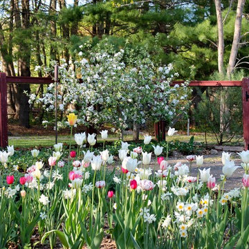 Garden Vignettes