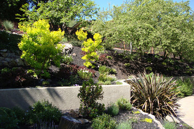 サンフランシスコにある高級なトラディショナルスタイルのおしゃれな裏庭 (ゼリスケープ) の写真