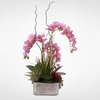 Real Touch Lavender Phalaenopsis Orchid and Succulents in Silver Ceramic Pot