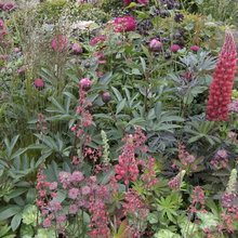 plantings