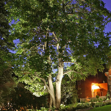 Outdoor LED Lighting