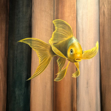 Koi Fish Master Bathroom Sliding Barn Door