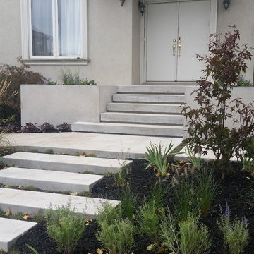 Contemporary Entrance