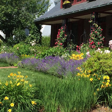 Garden Landscaping