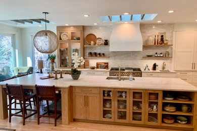 Kitchen - transitional kitchen idea in Denver