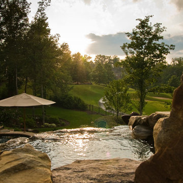 BALLANTYNE TROPICAL OASIS