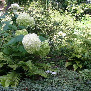 Garten in weiß