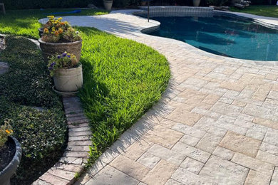 Inspiration for a pool remodel in Houston