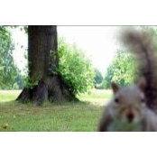 Tom Muich's photo