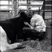 Deb Becthold Wenndt's photo