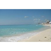Brenda Coak's photo