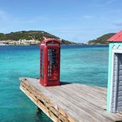 Lisa Watkins's photo