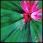 Cathy Ludwig's photo