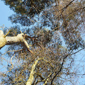 Ed Davenport's photo