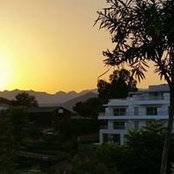 Dan Palmstens foto