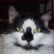 Ellee Brown's photo