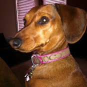 Megan Summers's photo