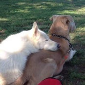 Foto de Ann Mcadams