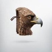 Enrico Flaccovio's photo