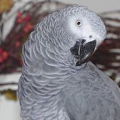 Katy Parrott's photo