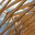 Home Systems Construction