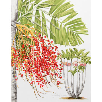 "Mcarthur Palm" Artwork