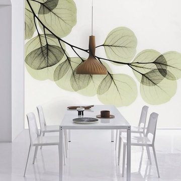 Diningroom Wall Decoration