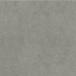 Style Selections Mitte Gray Glazed Porcelain Floor Tile - Wall And Floor Tile
