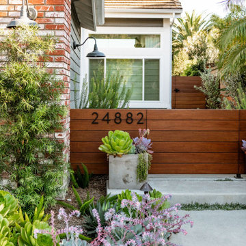 Dana Point Contemporary