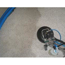 Harry`s Carpet Cleaning Gardena - Products
