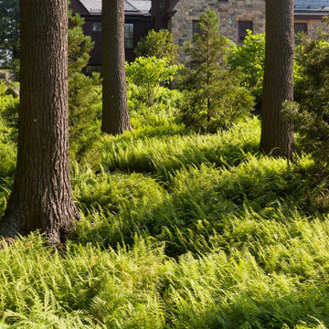 Woodland Retreat