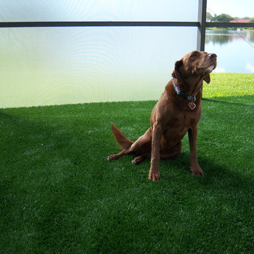 Residential Lawn