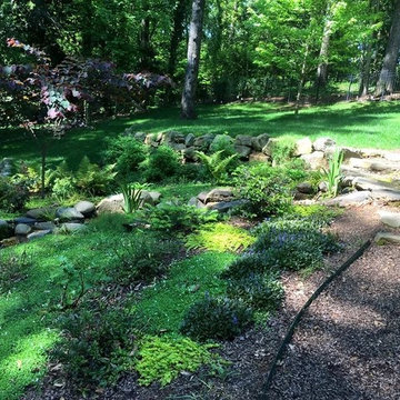 Front & Backyard Design and Installation.