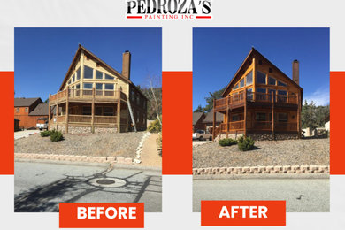 Pedroza S Painting Inc