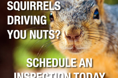 Varmint Gone Services