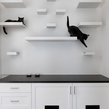 Organic Modern Cat Room