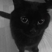 Rachel Lewandowski's photo