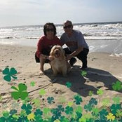 Carol Ciullo's photo