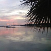 Frank Zito's photo