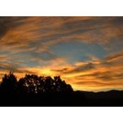 Kathy Wilson's photo