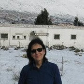 Einat Menachem's photo